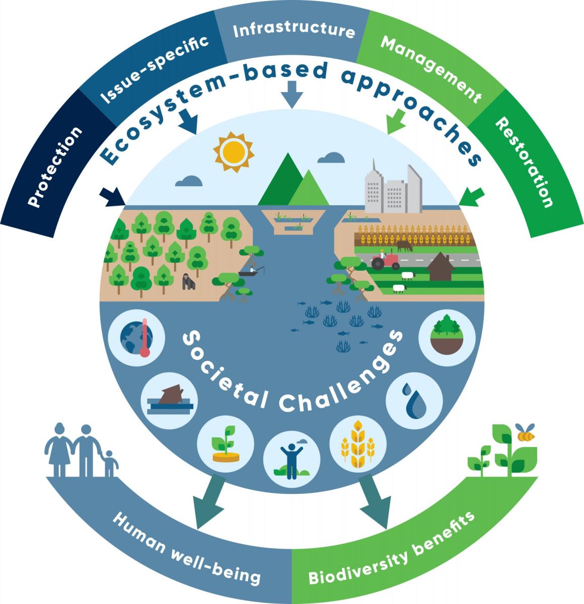 基於自然的解決方案，NbS全球標準的八項準則