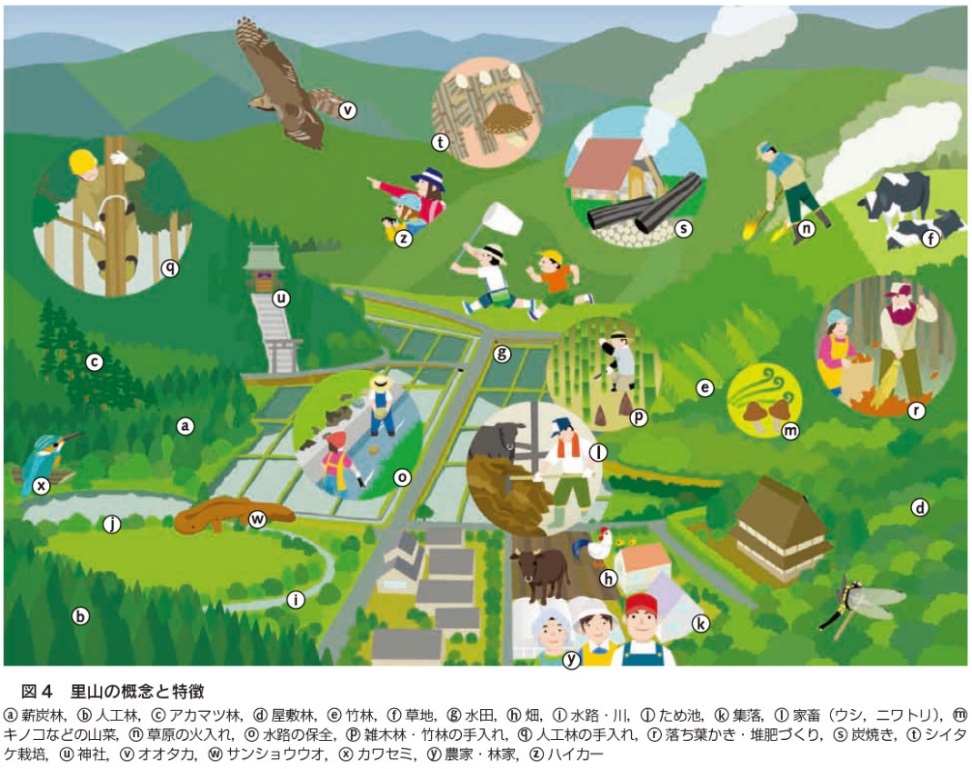 圖1 日本里山特性和概念圖