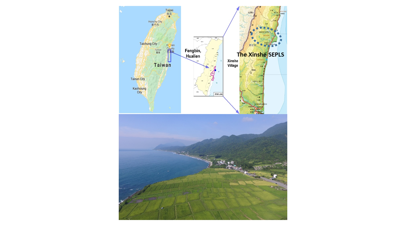 The Xinshe SEPLS – a gem of Taiwan’s east coast