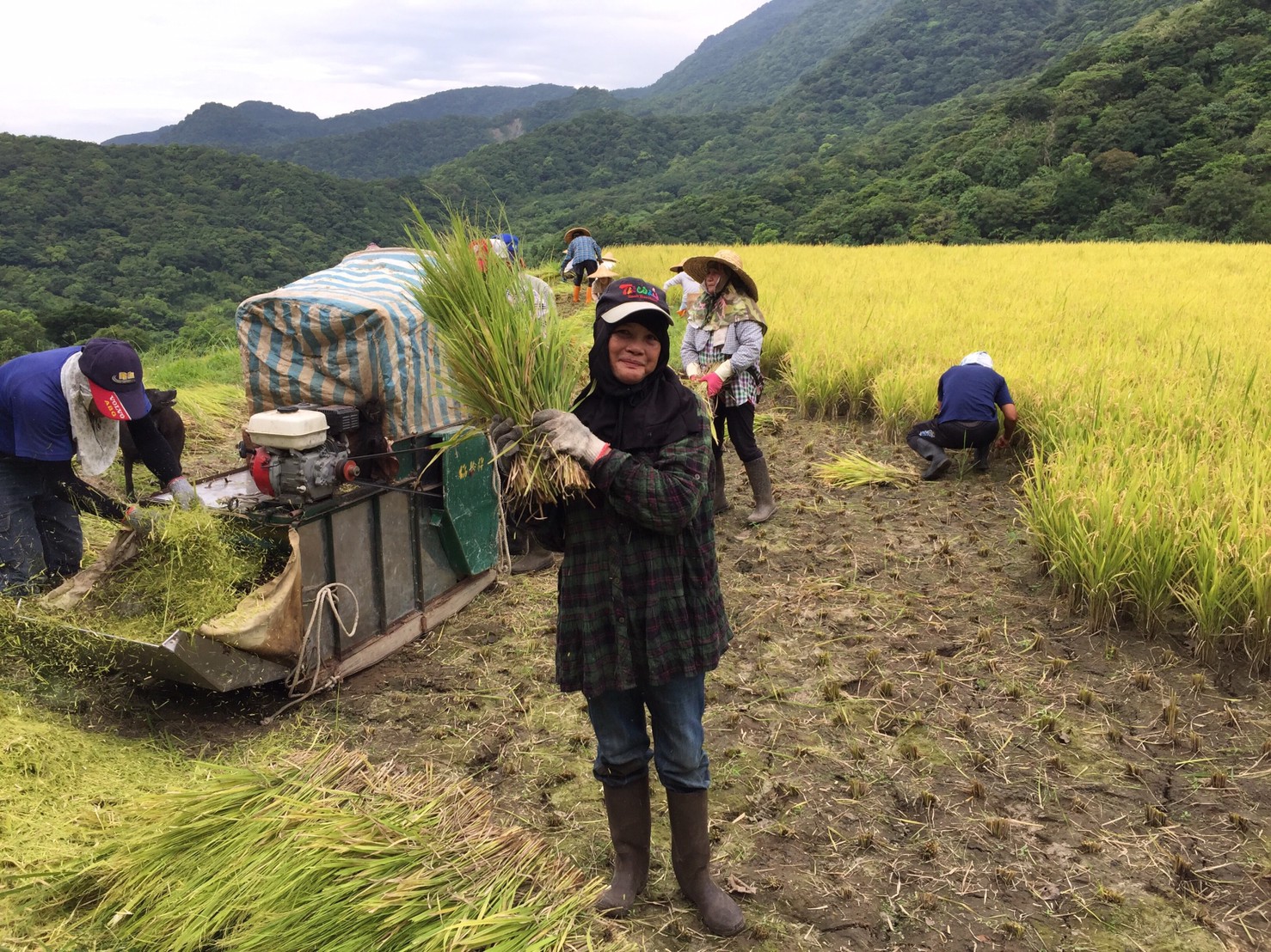 Ms. Fuis Huang from the Fuxing Indigenous community