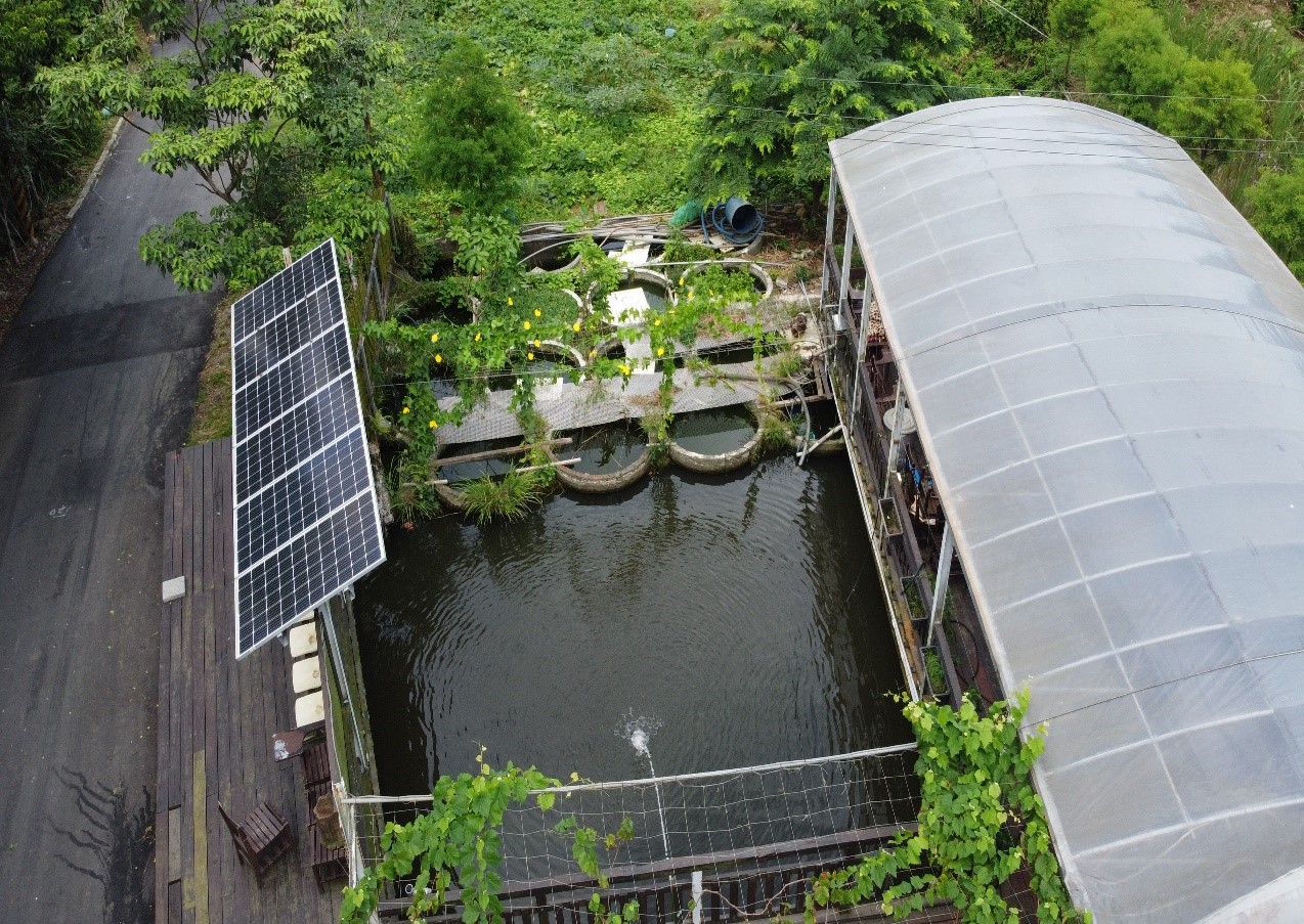 Promotion of circular economy: solar-powered fish ponds and gardens in Zhongliao community