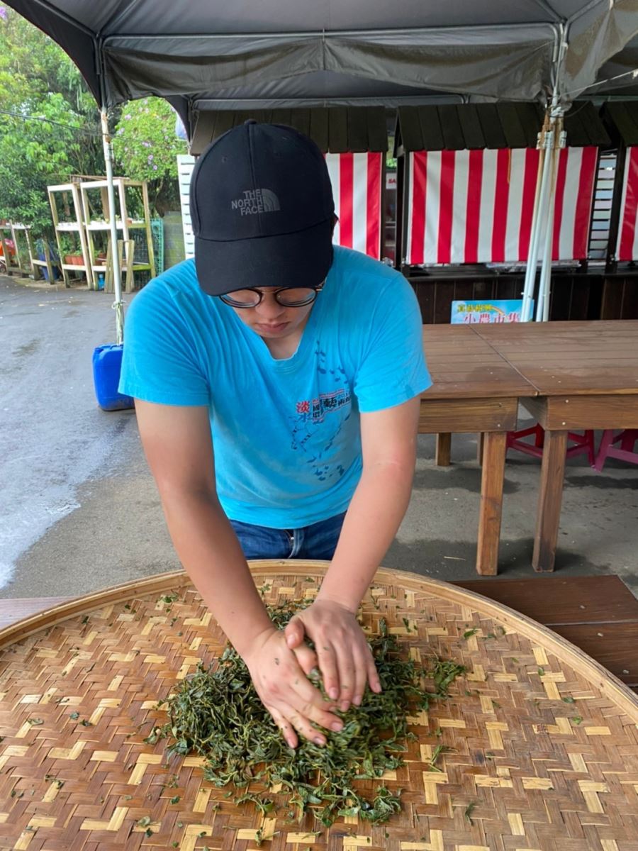 Returned migrant youth from Shuxing community engaged in tea production 