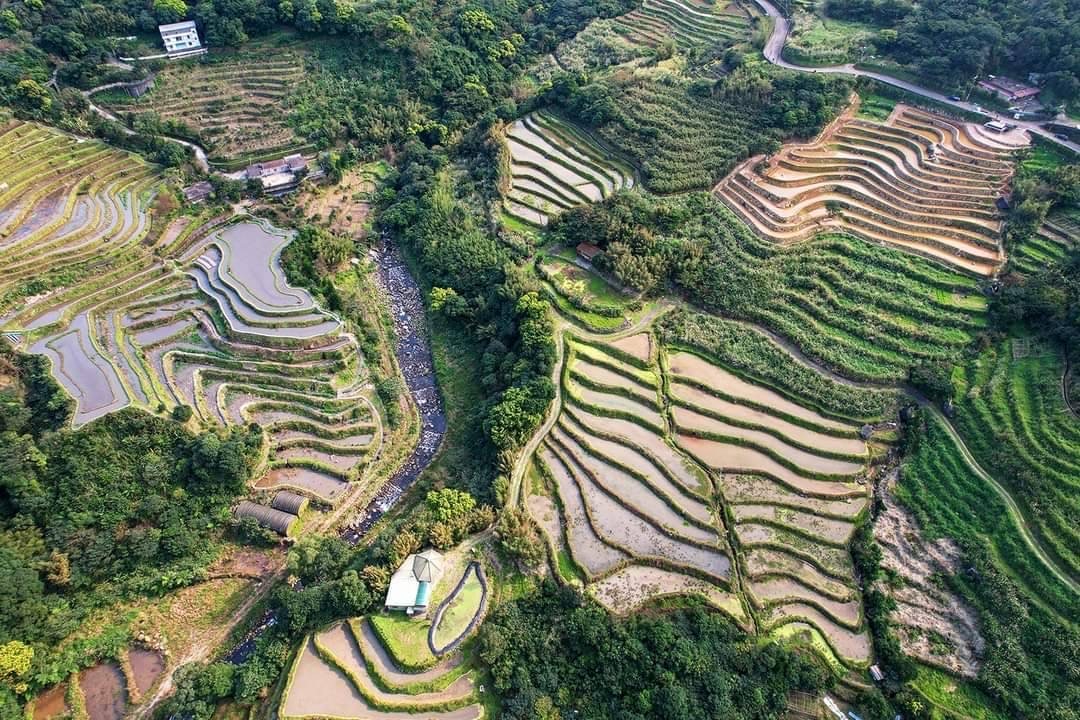 Conservation and sustainable use of terraced landscapes in Songshan community