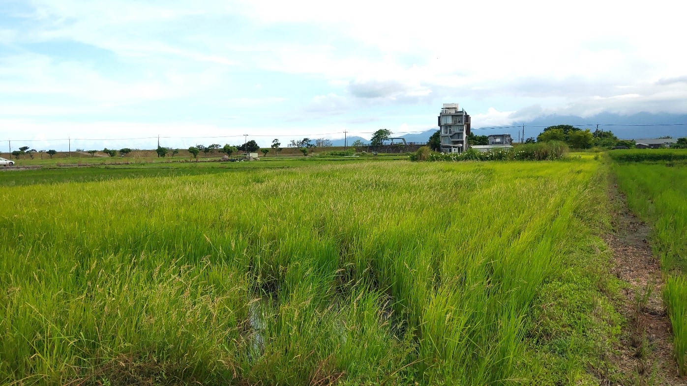 Xinnan Tiandong Rice agricultural enterprise eco-friendly fields