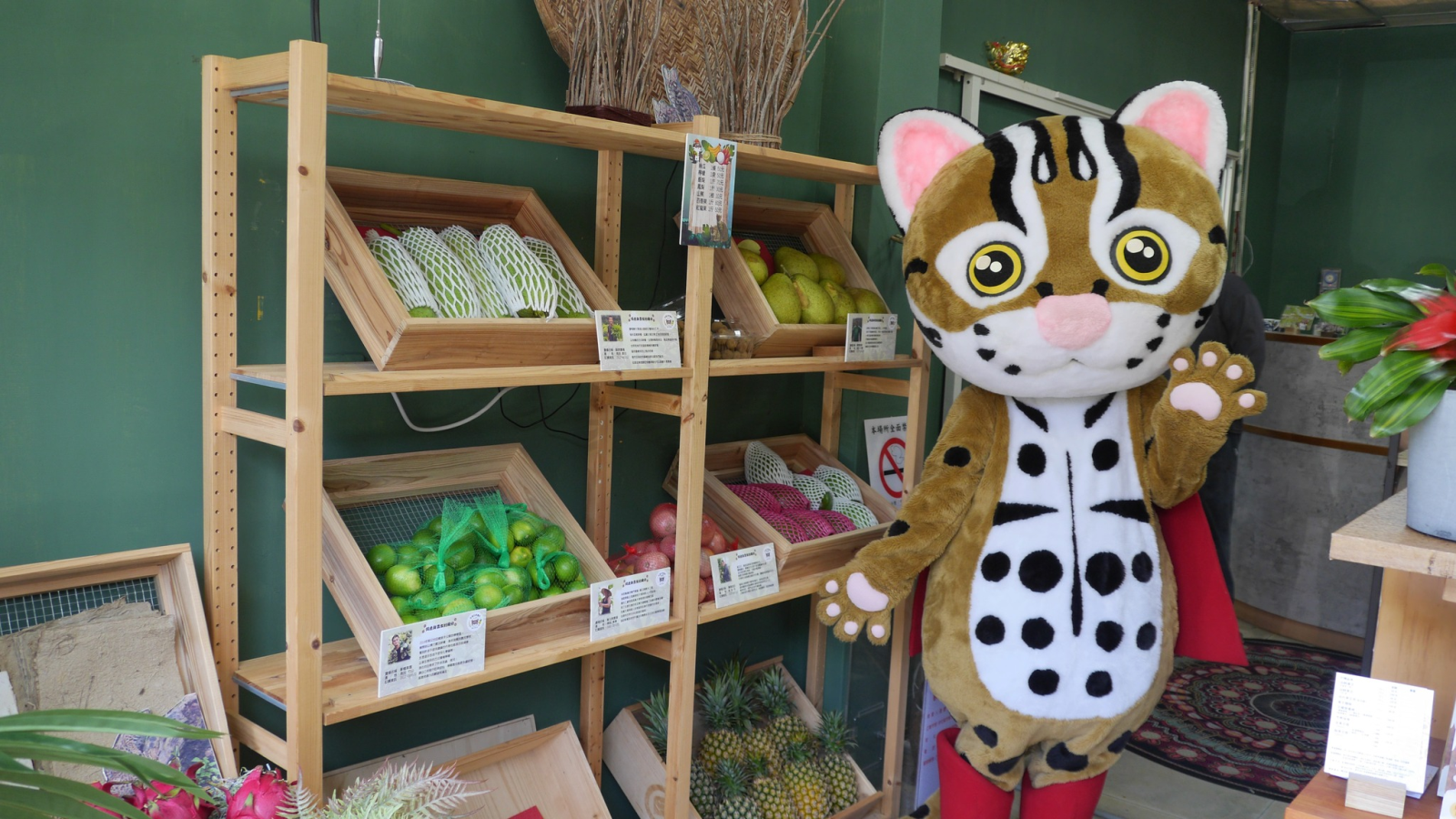 A win-win satoyama solution linking sustainable production, Leopard cat conservation and community well-being