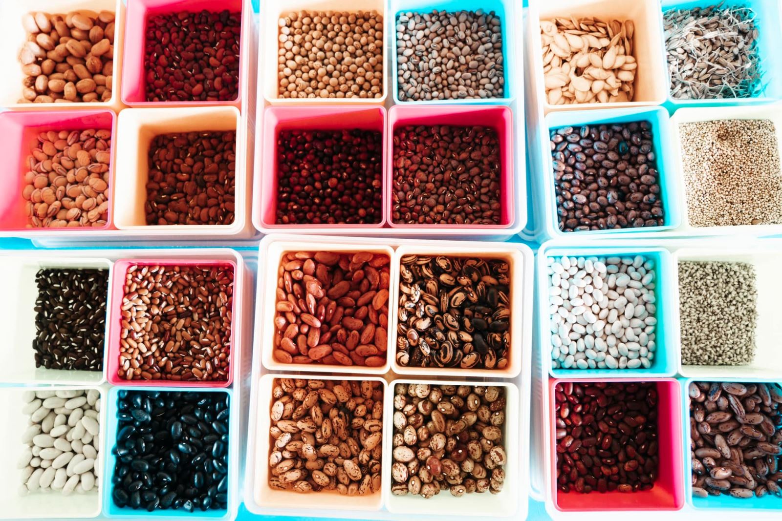 Bean diversity at the centre of
  bio-cultural diversity, Indigenous Bunun Nan’An Tribe © 2023 TPSI-S