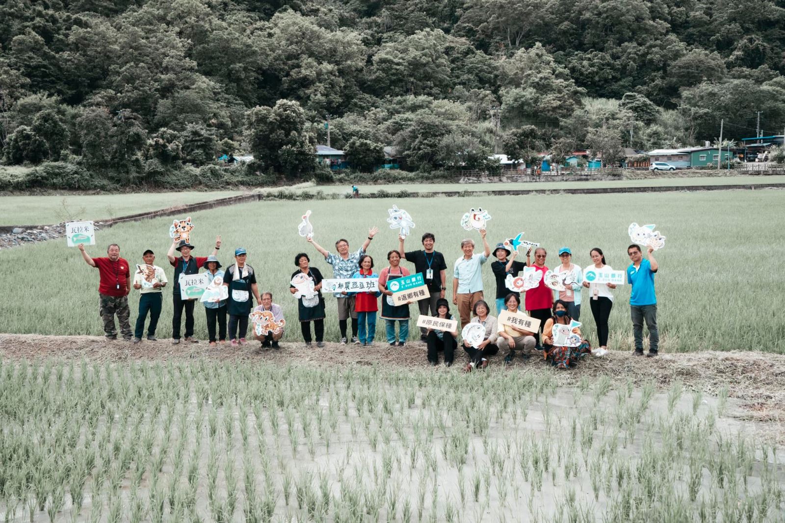 Organic paddy fields, Indigenous Bunun
  Nan’An Tribe © 2023 TPSI-S