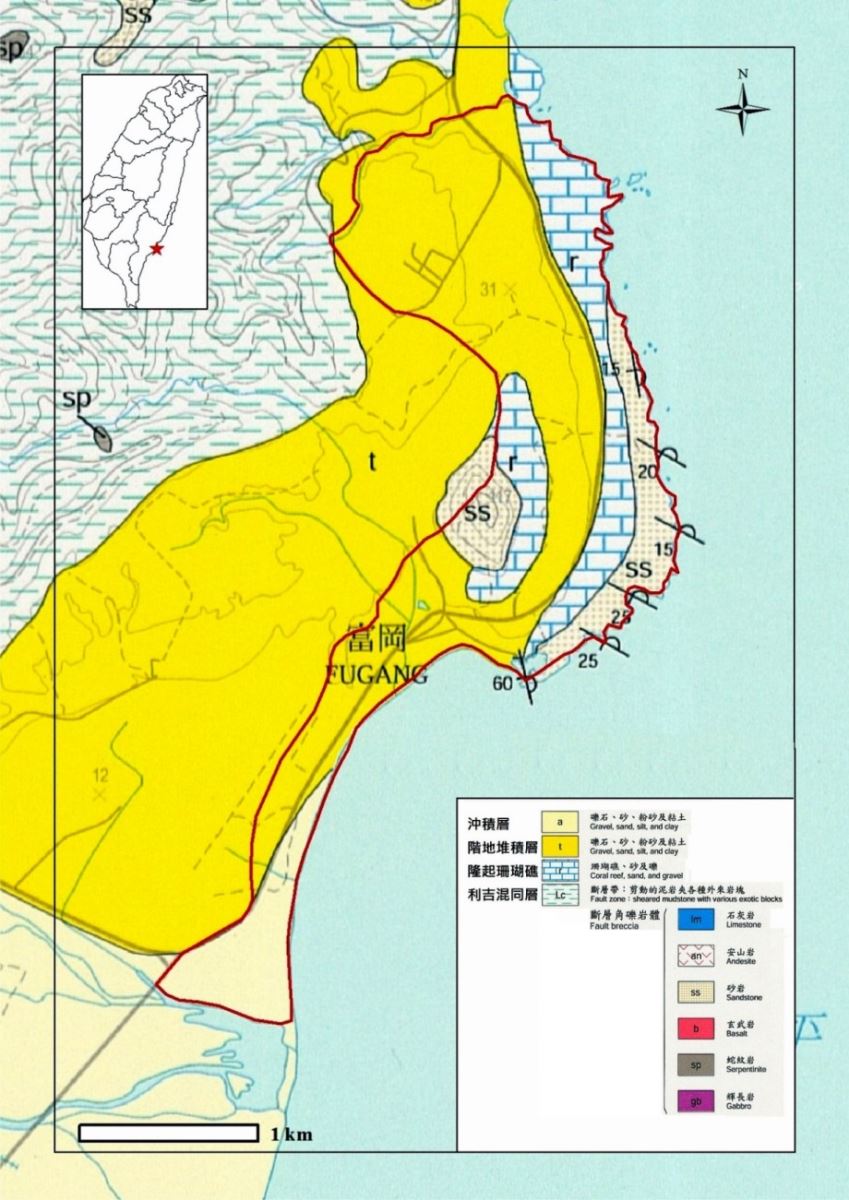 地層屬富崗砂岩或利吉混同層中的砂岩段，為一外來岩塊。富崗砂岩的岩性以淺黃色厚層砂岩為主