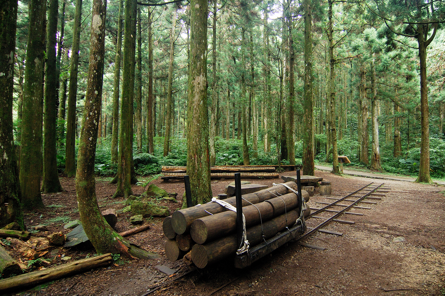 阿里山林業鐵路訂票系統